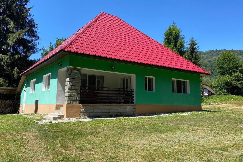 The Green House - Apuseni Mountains Pietroasa  Eksteriør bilde