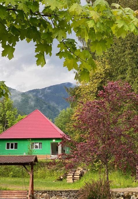 The Green House - Apuseni Mountains Pietroasa  Eksteriør bilde